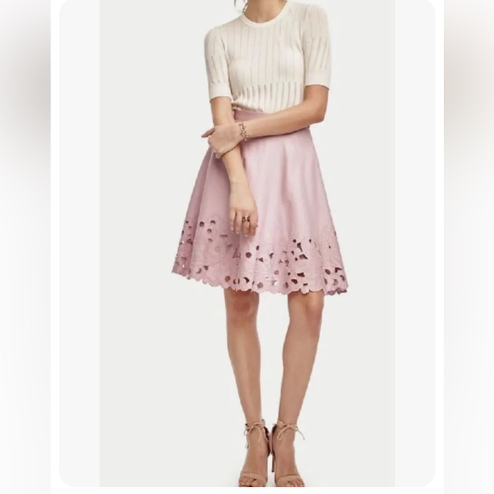 Ann Taylor Embroidered SwingSkirt - Soft Lotus -4 -NWTags